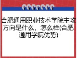 合肥通用职业技术学院主攻方向是什么，怎么样(合肥通用学院优势)