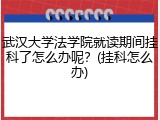 武汉大学法学院就读期间挂科了怎么办呢？(挂科怎么办)