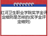 红河卫生职业学院奖学金评定细则是怎样的(奖学金评定细则)