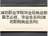 潍坊职业学院毕业后就业前景怎么样，毕业生去向(潍坊职院就业去向)
