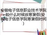 安徽电子信息职业技术学院一般什么时候放寒暑假(安徽电子信息学院寒暑假时间)
