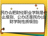 民办合肥财经职业学院是什么级别，公办还是民办(合财学院性质级别)