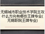 无锡城市职业技术学院主攻什么方向有哪些王牌专业(无锡职院王牌专业)