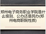 郑州电子商务职业学院是什么级别，公办还是民办(郑州电商职院性质)