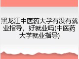 黑龙江中医药大学有没有就业指导，好就业吗(中医药大学就业指导)