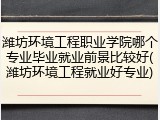 潍坊环境工程职业学院哪个专业毕业就业前景比较好(潍坊环境工程就业好专业)