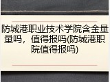 防城港职业技术学院含金量量吗，值得报吗(防城港职院值得报吗)