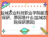 盐城农业科技职业学院能否保研，原因是什么(盐城农院保研原因)