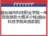 烟台城市科技职业学院一年财政拨款大概多少钱(烟台科技学院年拨款额)