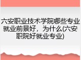 六安职业技术学院哪些专业就业前景好，为什么(六安职院好就业专业)