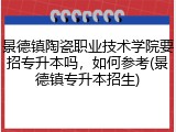 景德镇陶瓷职业技术学院要招专升本吗，如何参考(景德镇专升本招生)