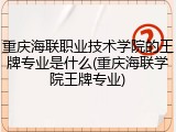 重庆海联职业技术学院的王牌专业是什么(重庆海联学院王牌专业)