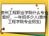 贵州工程职业学院什么专业最好，一年招多少人(贵州工程学院专业招生)