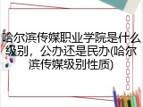 哈尔滨传媒职业学院是什么级别，公办还是民办(哈尔滨传媒级别性质)