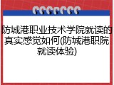 防城港职业技术学院就读的真实感觉如何(防城港职院就读体验)