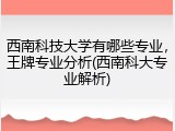 西南科技大学有哪些专业，王牌专业分析(西南科大专业解析)