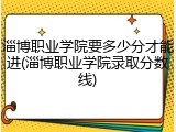淄博职业学院要多少分才能进(淄博职业学院录取分数线)