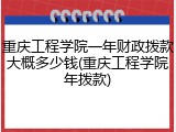 重庆工程学院一年财政拨款大概多少钱(重庆工程学院年拨款)