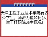 天津工程职业技术学院有多少学生，师资力量如何(天津工程职院师生概况)