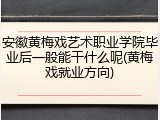 安徽黄梅戏艺术职业学院毕业后一般能干什么呢(黄梅戏就业方向)