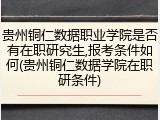 贵州铜仁数据职业学院是否有在职研究生,报考条件如何(贵州铜仁数据学院在职研条件)