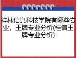 桂林信息科技学院有哪些专业，王牌专业分析(桂信王牌专业分析)