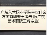 广东艺术职业学院主攻什么方向有哪些王牌专业(广东艺术职院王牌专业)