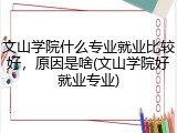 文山学院什么专业就业比较好，原因是啥(文山学院好就业专业)