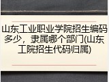 山东工业职业学院招生编码多少，隶属哪个部门(山东工院招生代码归属)
