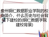 贵州铜仁数据职业学院的校史简介，什么历史与社会背景下建校的(铜仁数据学院建校背景)