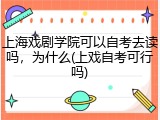 上海戏剧学院可以自考去读吗，为什么(上戏自考可行吗)