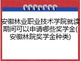 安徽林业职业技术学院就读期间可以申请哪些奖学金(安徽林院奖学金种类)