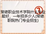 常德职业技术学院什么专业最好，一年招多少人(常德职院热门专业招生)