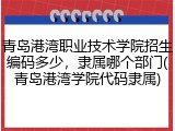青岛港湾职业技术学院招生编码多少，隶属哪个部门(青岛港湾学院代码隶属)