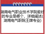 湖南电气职业技术学院最好的专业是哪个，详细阐述(湖南电气职院王牌专业)