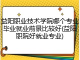 益阳职业技术学院哪个专业毕业就业前景比较好(益阳职院好就业专业)