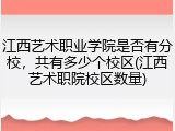 江西艺术职业学院是否有分校，共有多少个校区(江西艺术职院校区数量)