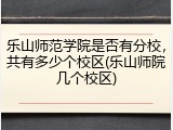 乐山师范学院是否有分校，共有多少个校区(乐山师院几个校区)