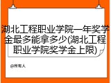 湖北工程职业学院一年奖学金最多能拿多少(湖北工程职业学院奖学金上限)