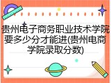 贵州电子商务职业技术学院要多少分才能进(贵州电商学院录取分数)