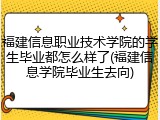 福建信息职业技术学院的学生毕业都怎么样了(福建信息学院毕业生去向)