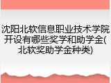 沈阳北软信息职业技术学院开设有哪些奖学和助学金(北软奖助学金种类)