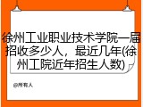 徐州工业职业技术学院一届招收多少人，最近几年(徐州工院近年招生人数)