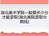 湖北美术学院一般要多少分才能录取(湖北美院录取分数线)