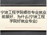 宁波工程学院哪些专业就业前景好，为什么(宁波工程学院好就业专业)