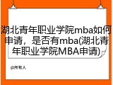 湖北青年职业学院mba如何申请，是否有mba(湖北青年职业学院MBA申请)