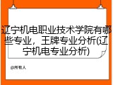辽宁机电职业技术学院有哪些专业，王牌专业分析(辽宁机电专业分析)