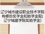 辽宁城市建设职业技术学院有哪些奖学金和助学金呢(辽宁城建学院奖助学金)