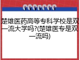 楚雄医药高等专科学校是双一流大学吗?(楚雄医专是双一流吗)