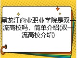 黑龙江商业职业学院是双一流高校吗，简单介绍(双一流高校介绍)
